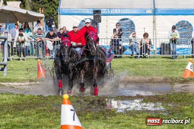 Zdjęcie w galerii na portalu naszraciborz.pl: Siodła, wozy i bryczki, czyli ostra rywalizacja na kornickiej maj&oacute;wce wiadomości z regionu