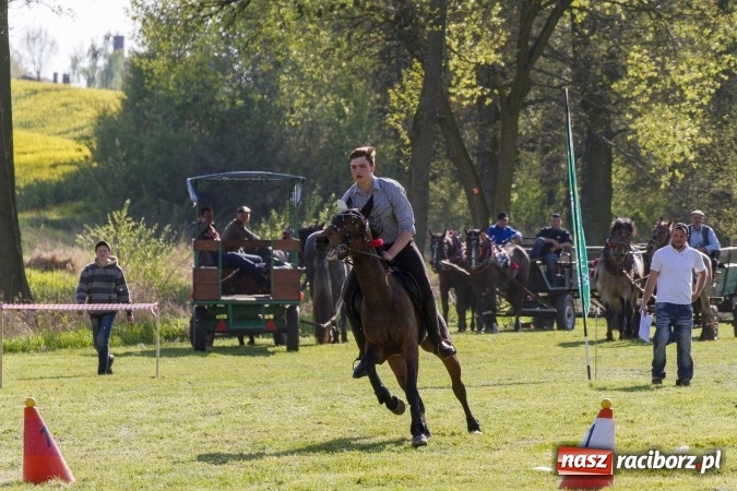 Zdjęcie w galerii na portalu naszraciborz.pl: Siodła, wozy i bryczki, czyli ostra rywalizacja na kornickiej maj&oacute;wce wiadomości z regionu