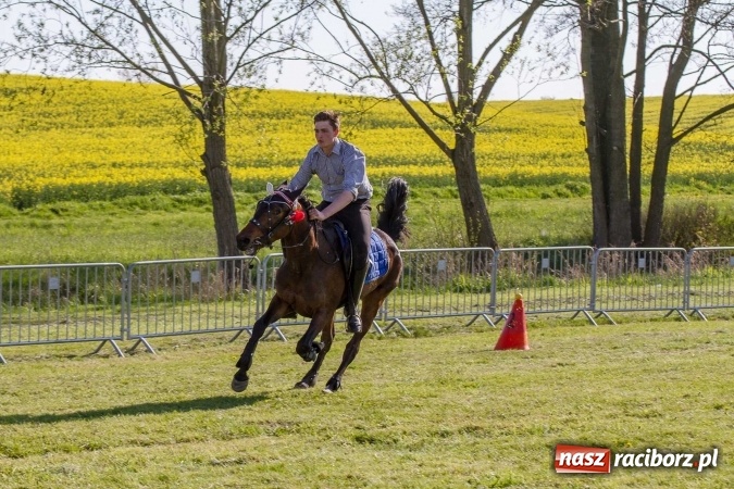 Zdjęcie w galerii na portalu naszraciborz.pl: Siodła, wozy i bryczki, czyli ostra rywalizacja na kornickiej maj&oacute;wce wiadomości z regionu