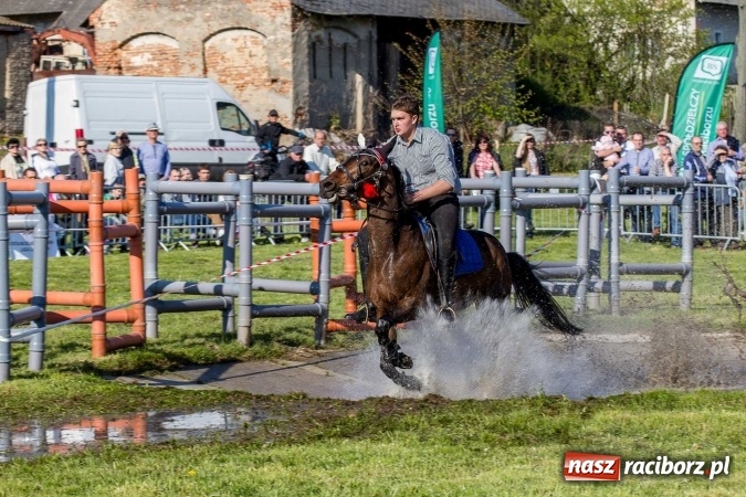 Zdjęcie w galerii na portalu naszraciborz.pl: Siodła, wozy i bryczki, czyli ostra rywalizacja na kornickiej maj&oacute;wce wiadomości z regionu