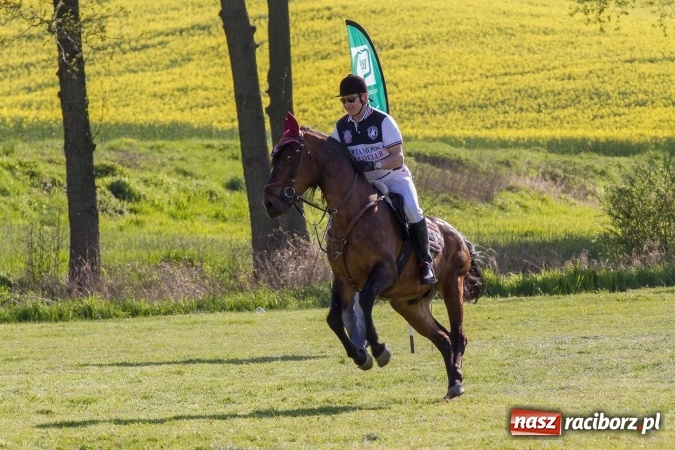 Zdjęcie w galerii na portalu naszraciborz.pl: Siodła, wozy i bryczki, czyli ostra rywalizacja na kornickiej maj&oacute;wce wiadomości z regionu