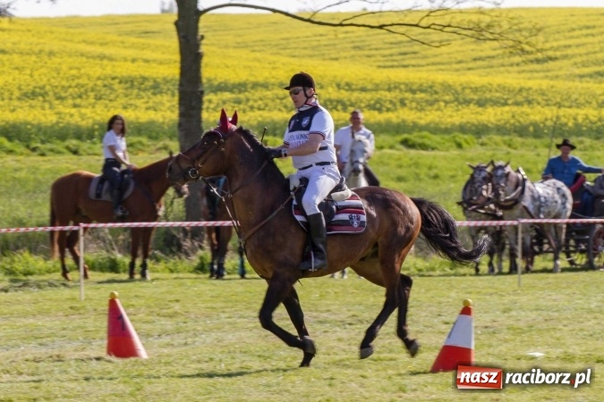 Zdjęcie w galerii na portalu naszraciborz.pl: Siodła, wozy i bryczki, czyli ostra rywalizacja na kornickiej maj&oacute;wce wiadomości z regionu