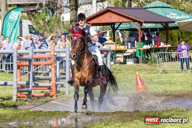 Zdjęcie w galerii na portalu naszraciborz.pl: Siodła, wozy i bryczki, czyli ostra rywalizacja na kornickiej maj&oacute;wce wiadomości z regionu