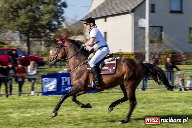 Zdjęcie w galerii na portalu naszraciborz.pl: Siodła, wozy i bryczki, czyli ostra rywalizacja na kornickiej maj&oacute;wce wiadomości z regionu