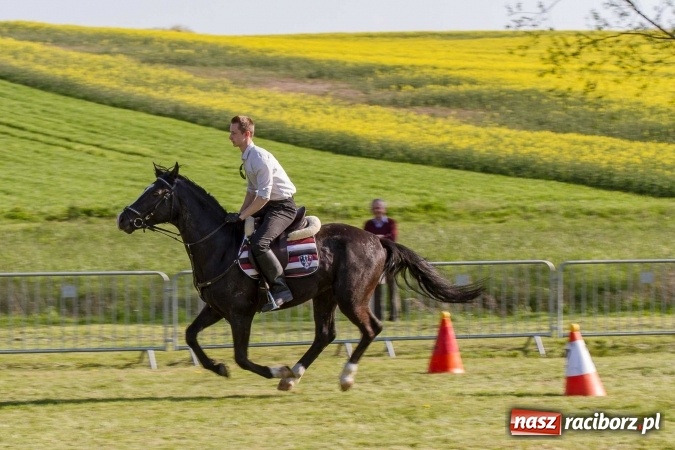 Zdjęcie w galerii na portalu naszraciborz.pl: Siodła, wozy i bryczki, czyli ostra rywalizacja na kornickiej maj&oacute;wce wiadomości z regionu