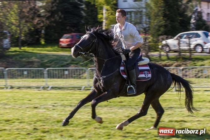 Zdjęcie w galerii na portalu naszraciborz.pl: Siodła, wozy i bryczki, czyli ostra rywalizacja na kornickiej maj&oacute;wce wiadomości z regionu