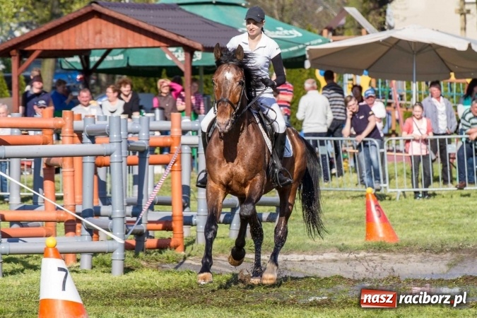 Zdjęcie w galerii na portalu naszraciborz.pl: Siodła, wozy i bryczki, czyli ostra rywalizacja na kornickiej maj&oacute;wce wiadomości z regionu
