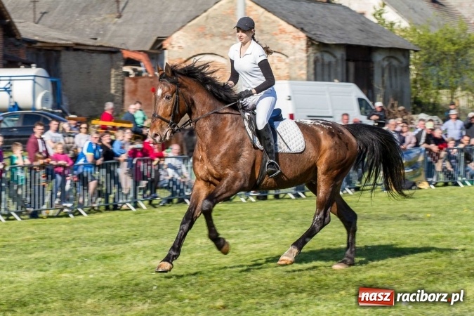 Zdjęcie w galerii na portalu naszraciborz.pl: Siodła, wozy i bryczki, czyli ostra rywalizacja na kornickiej maj&oacute;wce wiadomości z regionu