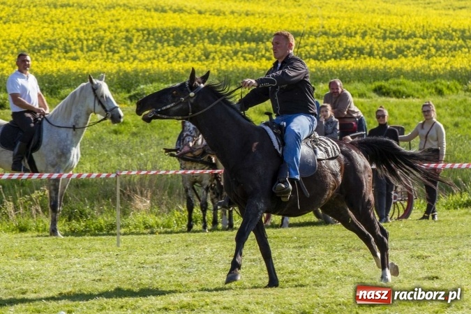 Zdjęcie w galerii na portalu naszraciborz.pl: Siodła, wozy i bryczki, czyli ostra rywalizacja na kornickiej maj&oacute;wce wiadomości z regionu