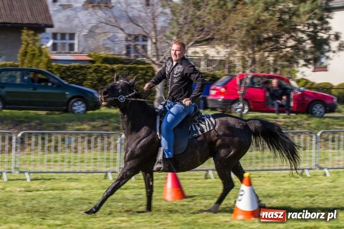 Zdjęcie w galerii na portalu naszraciborz.pl: Siodła, wozy i bryczki, czyli ostra rywalizacja na kornickiej maj&oacute;wce wiadomości z regionu