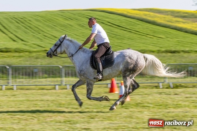 Zdjęcie w galerii na portalu naszraciborz.pl: Siodła, wozy i bryczki, czyli ostra rywalizacja na kornickiej maj&oacute;wce wiadomości z regionu
