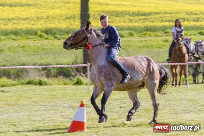 Zdjęcie w galerii na portalu naszraciborz.pl: Siodła, wozy i bryczki, czyli ostra rywalizacja na kornickiej maj&oacute;wce wiadomości z regionu