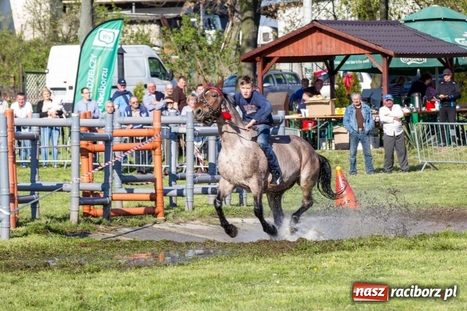 Zdjęcie w galerii na portalu naszraciborz.pl: Siodła, wozy i bryczki, czyli ostra rywalizacja na kornickiej maj&oacute;wce wiadomości z regionu