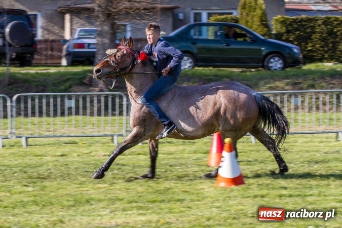 Zdjęcie w galerii na portalu naszraciborz.pl: Siodła, wozy i bryczki, czyli ostra rywalizacja na kornickiej maj&oacute;wce wiadomości z regionu