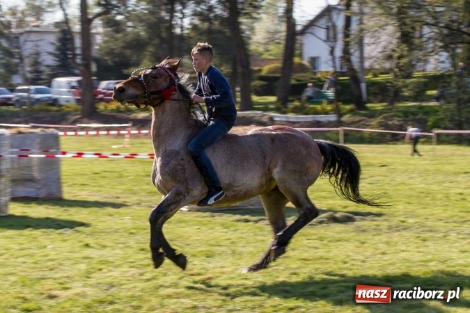 Zdjęcie w galerii na portalu naszraciborz.pl: Siodła, wozy i bryczki, czyli ostra rywalizacja na kornickiej maj&oacute;wce wiadomości z regionu