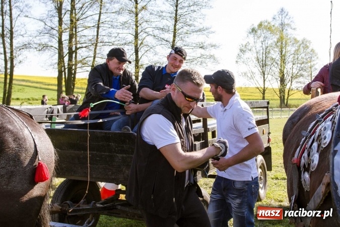 Zdjęcie w galerii na portalu naszraciborz.pl: Siodła, wozy i bryczki, czyli ostra rywalizacja na kornickiej maj&oacute;wce wiadomości z regionu