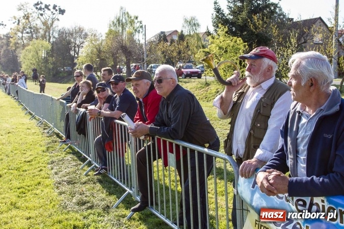 Zdjęcie w galerii na portalu naszraciborz.pl: Siodła, wozy i bryczki, czyli ostra rywalizacja na kornickiej maj&oacute;wce wiadomości z regionu
