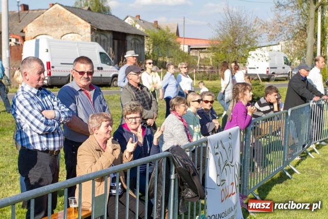 Zdjęcie w galerii na portalu naszraciborz.pl: Siodła, wozy i bryczki, czyli ostra rywalizacja na kornickiej maj&oacute;wce wiadomości z regionu
