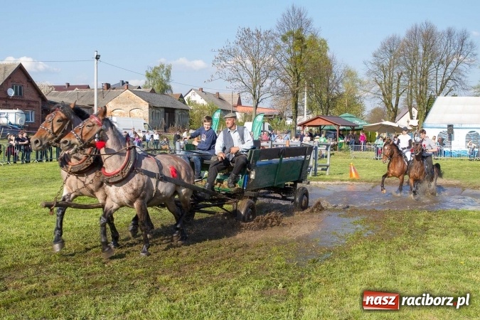 Zdjęcie w galerii na portalu naszraciborz.pl: Siodła, wozy i bryczki, czyli ostra rywalizacja na kornickiej maj&oacute;wce wiadomości z regionu