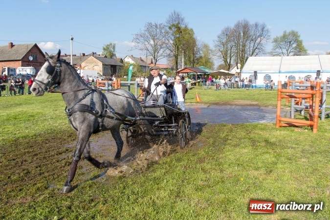 Zdjęcie w galerii na portalu naszraciborz.pl: Siodła, wozy i bryczki, czyli ostra rywalizacja na kornickiej maj&oacute;wce wiadomości z regionu