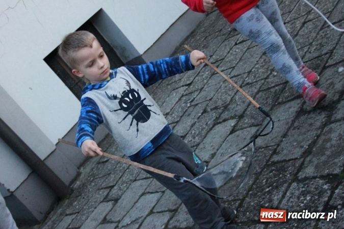 Zdjęcie w galerii na portalu naszraciborz.pl: Coys na wojnowickiej majówce wiadomości z regionu