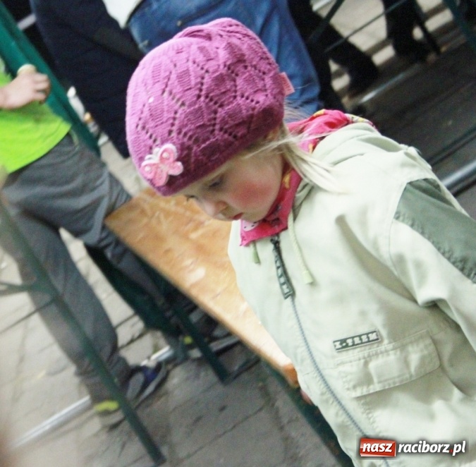 Zdjęcie w galerii na portalu naszraciborz.pl: Coys na wojnowickiej majówce wiadomości z regionu