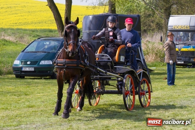 Zdjęcie w galerii na portalu naszraciborz.pl: Drugi dzień maj&oacute;wki konnej, czyli zawody w powożeniu na boisku w Kornicach wiadomości z regionu