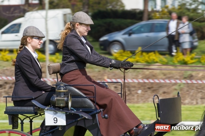 Zdjęcie w galerii na portalu naszraciborz.pl: Drugi dzień maj&oacute;wki konnej, czyli zawody w powożeniu na boisku w Kornicach wiadomości z regionu