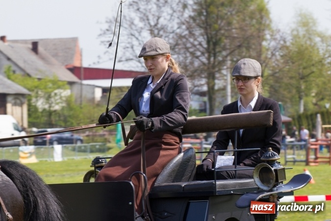 Zdjęcie w galerii na portalu naszraciborz.pl: Drugi dzień maj&oacute;wki konnej, czyli zawody w powożeniu na boisku w Kornicach wiadomości z regionu