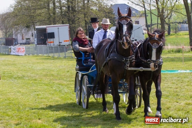 Zdjęcie w galerii na portalu naszraciborz.pl: Drugi dzień maj&oacute;wki konnej, czyli zawody w powożeniu na boisku w Kornicach wiadomości z regionu
