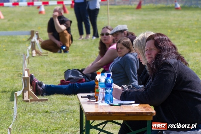 Zdjęcie w galerii na portalu naszraciborz.pl: Drugi dzień maj&oacute;wki konnej, czyli zawody w powożeniu na boisku w Kornicach wiadomości z regionu