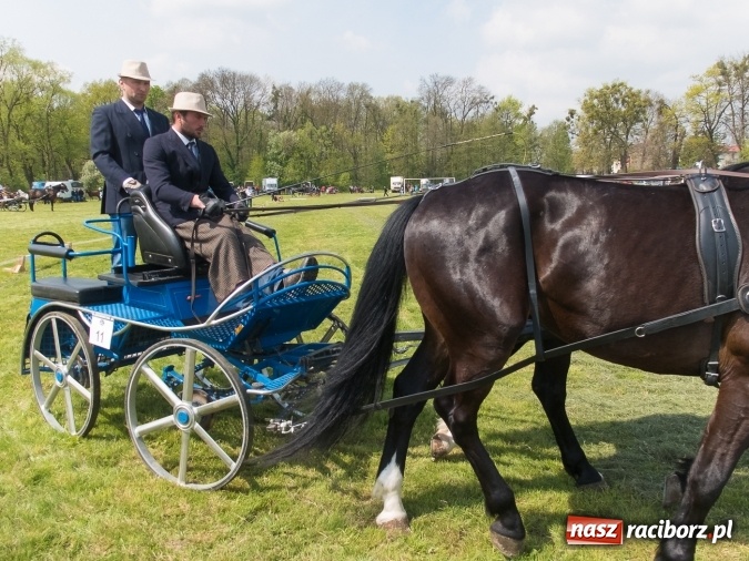Zdjęcie w galerii na portalu naszraciborz.pl: Drugi dzień maj&oacute;wki konnej, czyli zawody w powożeniu na boisku w Kornicach wiadomości z regionu