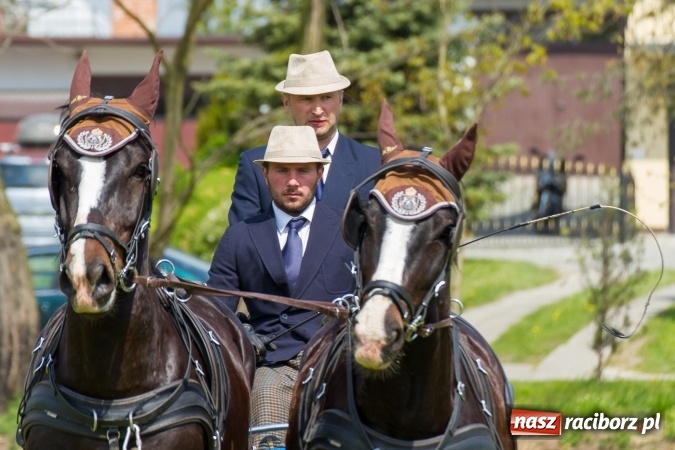 Zdjęcie w galerii na portalu naszraciborz.pl: Drugi dzień maj&oacute;wki konnej, czyli zawody w powożeniu na boisku w Kornicach wiadomości z regionu