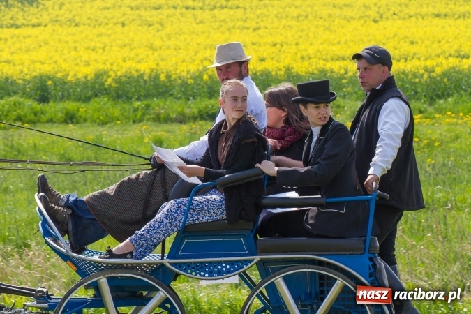 Zdjęcie w galerii na portalu naszraciborz.pl: Drugi dzień maj&oacute;wki konnej, czyli zawody w powożeniu na boisku w Kornicach wiadomości z regionu