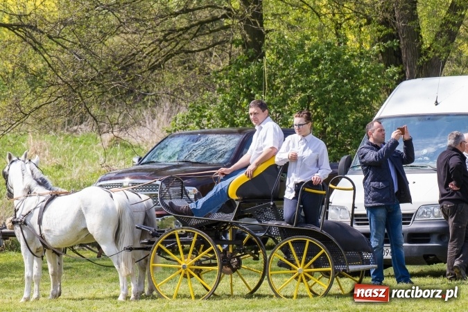 Zdjęcie w galerii na portalu naszraciborz.pl: Drugi dzień maj&oacute;wki konnej, czyli zawody w powożeniu na boisku w Kornicach wiadomości z regionu