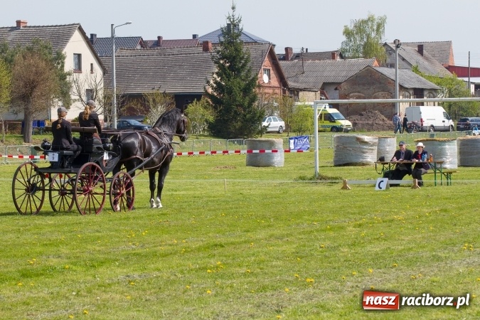 Zdjęcie w galerii na portalu naszraciborz.pl: Drugi dzień maj&oacute;wki konnej, czyli zawody w powożeniu na boisku w Kornicach wiadomości z regionu