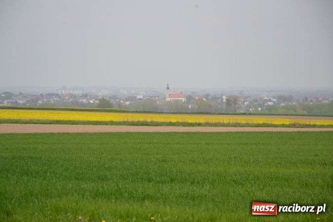 Zdjęcie w galerii na portalu naszraciborz.pl: Sezon rowerowy i marszów nordic walking w gminie Krzyżanowice oficjalnie rozpoczęty wiadomości z regionu