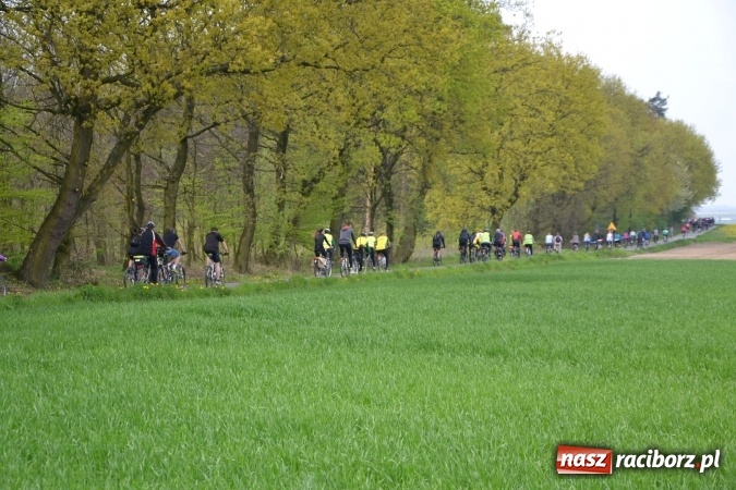 Zdjęcie w galerii na portalu naszraciborz.pl: Sezon rowerowy i marszów nordic walking w gminie Krzyżanowice oficjalnie rozpoczęty wiadomości z regionu