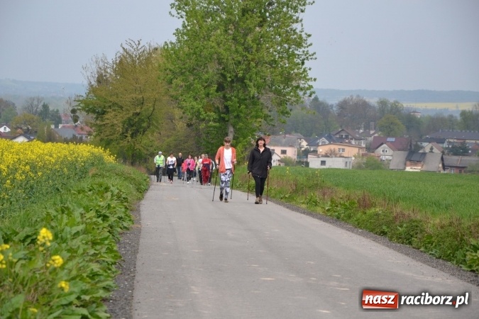Zdjęcie w galerii na portalu naszraciborz.pl: Sezon rowerowy i marszów nordic walking w gminie Krzyżanowice oficjalnie rozpoczęty wiadomości z regionu