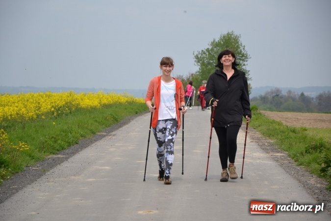 Zdjęcie w galerii na portalu naszraciborz.pl: Sezon rowerowy i marszów nordic walking w gminie Krzyżanowice oficjalnie rozpoczęty wiadomości z regionu
