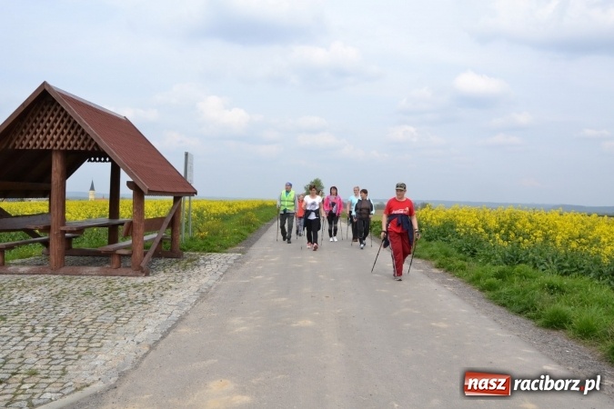 Zdjęcie w galerii na portalu naszraciborz.pl: Sezon rowerowy i marszów nordic walking w gminie Krzyżanowice oficjalnie rozpoczęty wiadomości z regionu