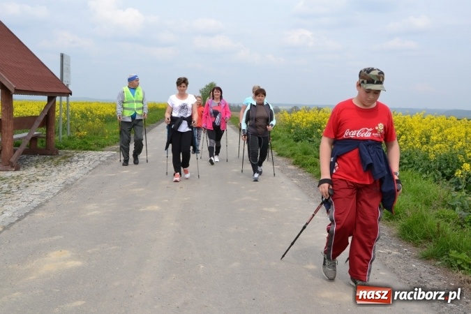 Zdjęcie w galerii na portalu naszraciborz.pl: Sezon rowerowy i marszów nordic walking w gminie Krzyżanowice oficjalnie rozpoczęty wiadomości z regionu
