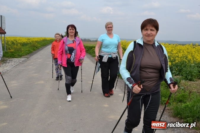 Zdjęcie w galerii na portalu naszraciborz.pl: Sezon rowerowy i marszów nordic walking w gminie Krzyżanowice oficjalnie rozpoczęty wiadomości z regionu