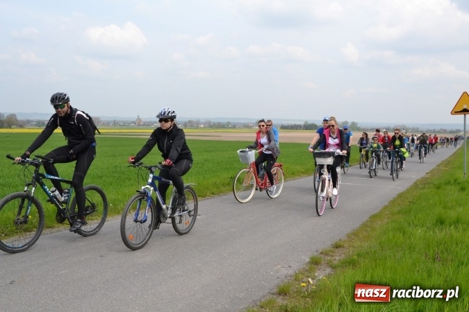 Zdjęcie w galerii na portalu naszraciborz.pl: Sezon rowerowy i marszów nordic walking w gminie Krzyżanowice oficjalnie rozpoczęty wiadomości z regionu