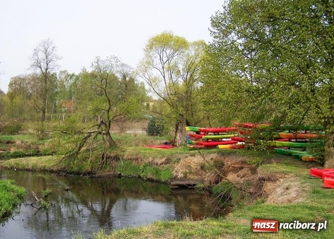 Zdjęcie w galerii na portalu naszraciborz.pl: Podsumowanie akcji VII Wielkie Sprzątanie rzeki Rudy wiadomości z regionu