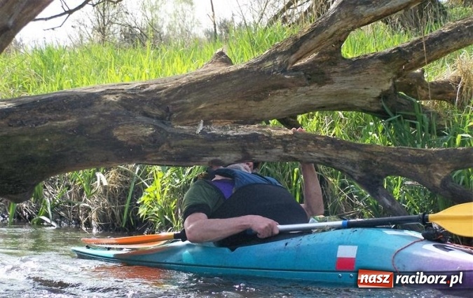 Zdjęcie w galerii na portalu naszraciborz.pl: Podsumowanie akcji VII Wielkie Sprzątanie rzeki Rudy wiadomości z regionu