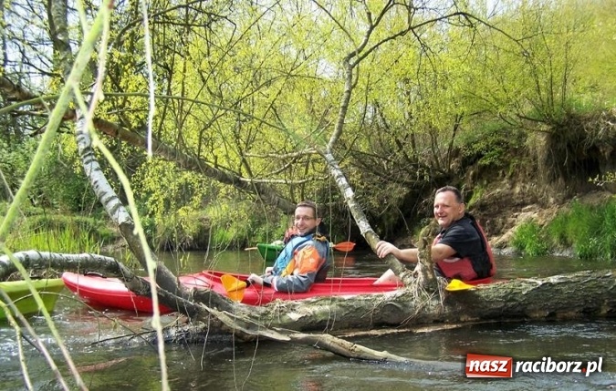 Zdjęcie w galerii na portalu naszraciborz.pl: Podsumowanie akcji VII Wielkie Sprzątanie rzeki Rudy wiadomości z regionu
