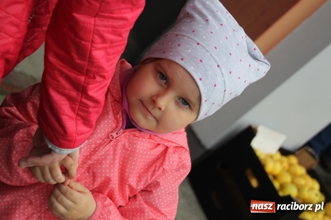 Zdjęcie w galerii na portalu naszraciborz.pl: Wojnowicka majówka - fotorelacja z 2. dnia wiadomości z regionu