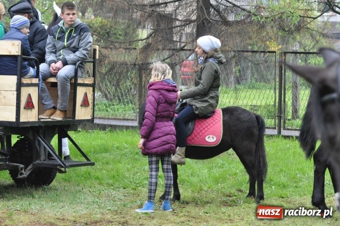 Zdjęcie w galerii na portalu naszraciborz.pl: Pradawnym zwyczajem ojców w Pogrzebieniu na św. Floriana odbyła się procesja konna wiadomości z regionu