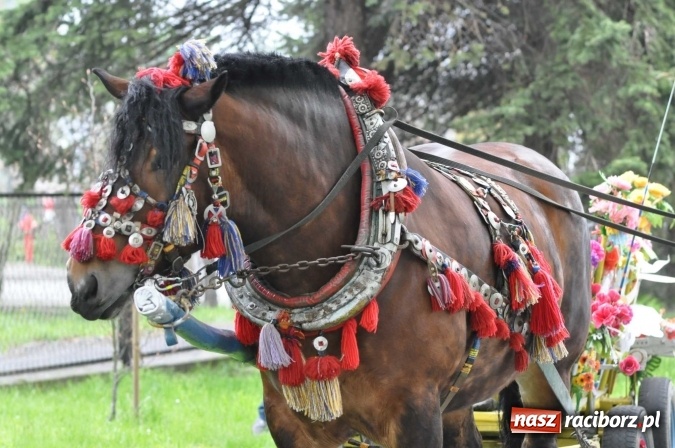 Zdjęcie w galerii na portalu naszraciborz.pl: Pradawnym zwyczajem ojców w Pogrzebieniu na św. Floriana odbyła się procesja konna wiadomości z regionu